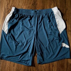 Puma Athletic Shorts in Navy and White
